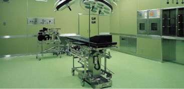 上海黎陽環氧平涂地坪 用心締造優質品牌，鑄就卓越裝飾工程